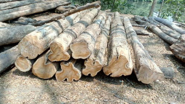 Nilambur Teak Wood
